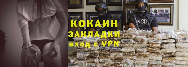 гидра Аркадак
