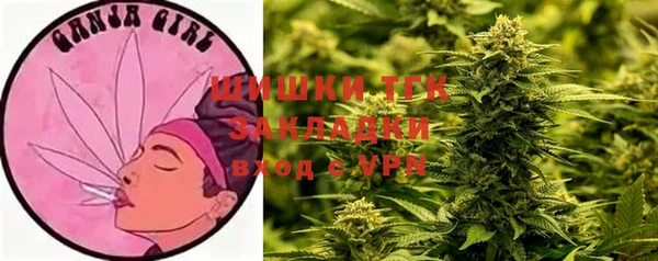ГАЛЛЮЦИНОГЕННЫЕ ГРИБЫ Арсеньев