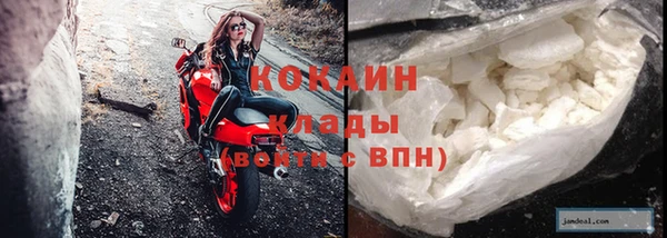 ГАЛЛЮЦИНОГЕННЫЕ ГРИБЫ Арсеньев