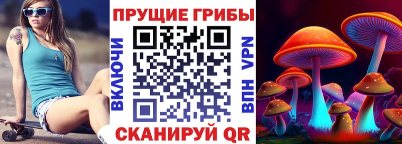 Галлюциногенные грибы прущие грибы  Нижняя Салда 